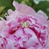 CC21B90D-F636-40E5-AAD2-775884911249 Butterfly Ring