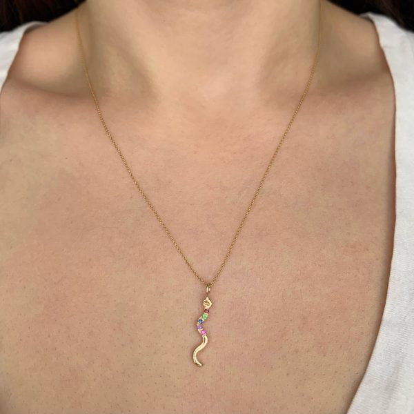 snake-charm-necklace snake charm necklace