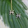 C5CD5989-0C79-4EBC-975E-69BB6B03A2C3 Pisces Charm