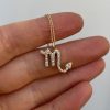 IMG_2479 Scorpio Charm