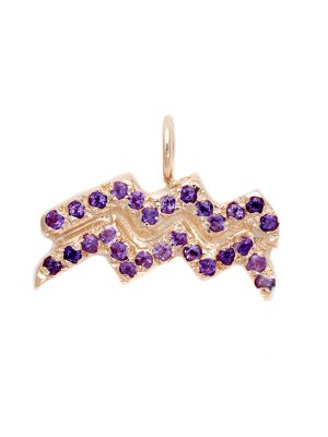 Aquarius charm necklace zodiac jewelry yellow gold