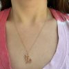 capricorn-zodiac-sign-charm-pendant-on-necklace Capricorn zodiac sign charm pendant necklace
