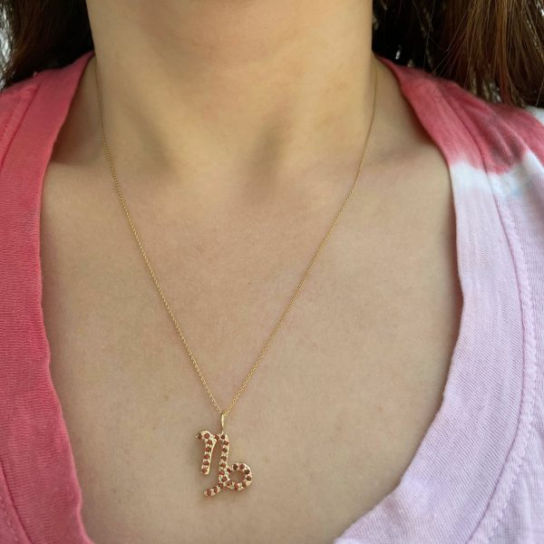 capricorn-zodiac-sign-charm-pendant-on-necklace Capricorn zodiac sign charm pendant necklace