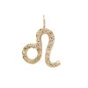 leo-charm-necklace-zodiac-jewelry-yellow-gold Leo charm necklace zodiac jewelry yellow gold