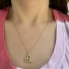 leo-zodiac-sign-charm-pendant-on-necklace Leo zodiac sign charm pendant necklace
