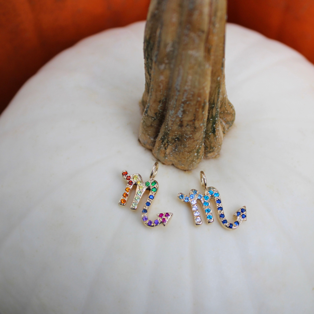 Scorpio Charms