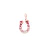 Horseshoe charm 14k pink gold and diamond neckalce