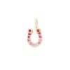 Horseshoe charm 14k yellow gold and diamond neckalce