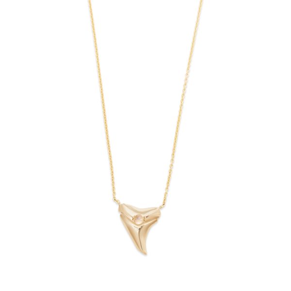 custom-engraved-shark-tooth-necklace-gold-front Custom Engraved Shark Tooth Necklace Yellow Gold Front