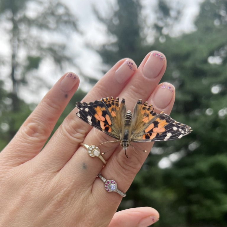 Wearing the Moon and Sun Ring with a butterfly on the hand