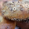yellow-gold-bagel-charm-close-up Bagel Charm