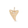 Engraved Diamond Shark Tooth Necklace - Front